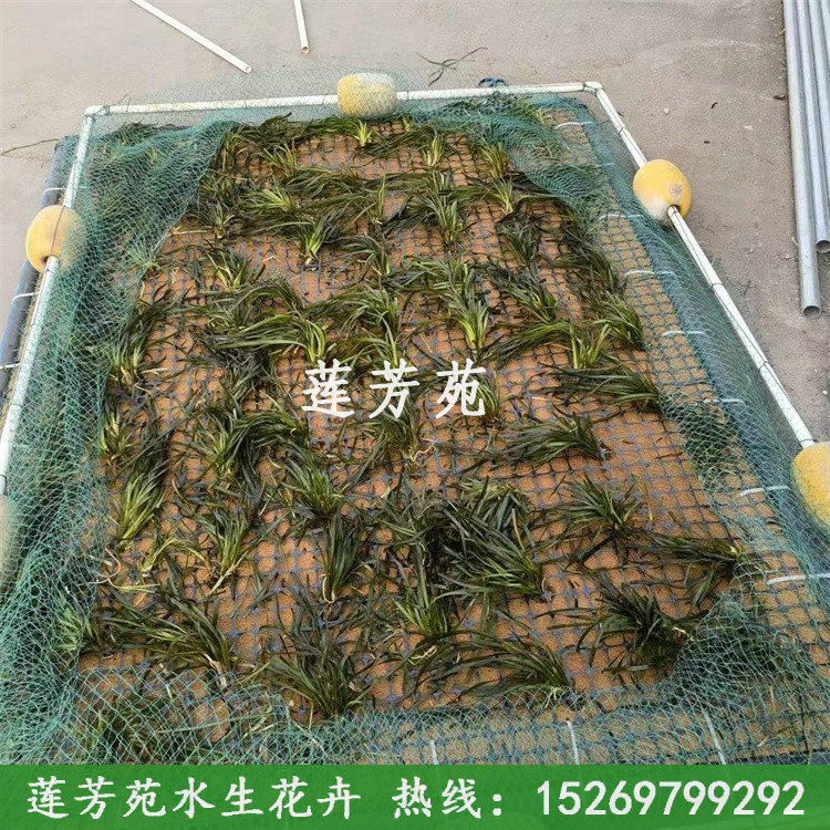 植物纖維生態(tài)沉床