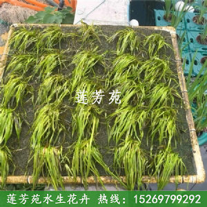 聚酯纖維生態(tài)沉床