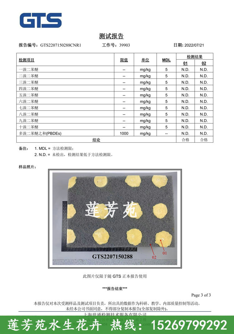 聚酯浮動(dòng)濕地檢測(cè)報(bào)告第3頁(yè).jpg