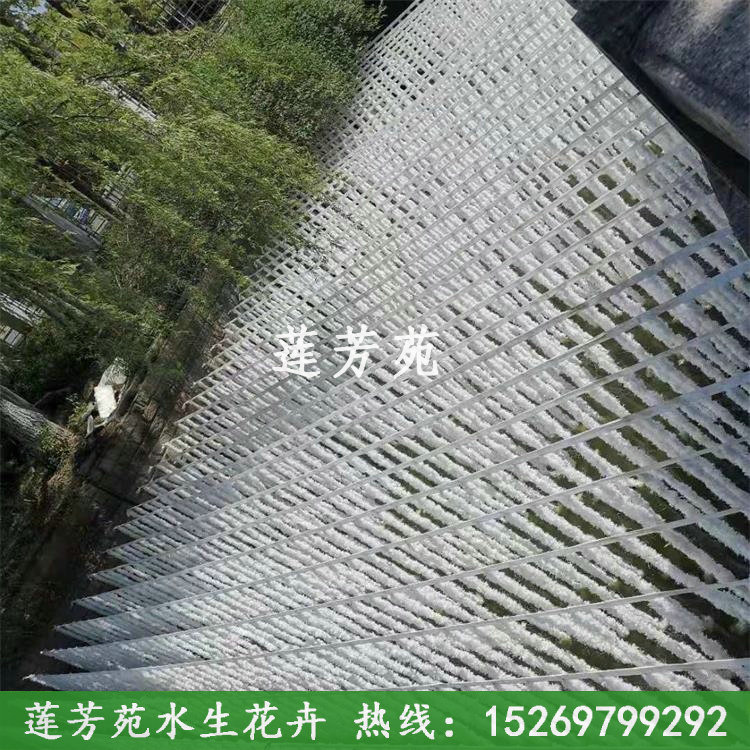 江蘇海虞生態(tài)水草安裝