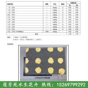 聚酯浮動(dòng)濕地檢測(cè)報(bào)告第3頁(yè)