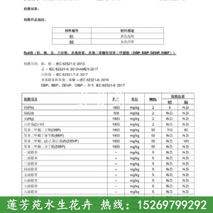 聚酯浮動(dòng)濕地檢測(cè)報(bào)告第2頁